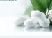 Herbal and Pharmaceutical Purity